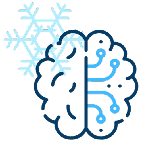 Nervous System